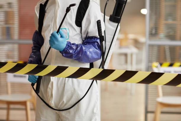 Professional Hoarding Cleanup technician working in West Hyannisport, MA